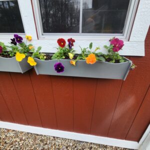Flower Boxes