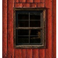 AOS Website- HomePage-Window