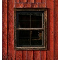 AOS Website- HomePage-Window